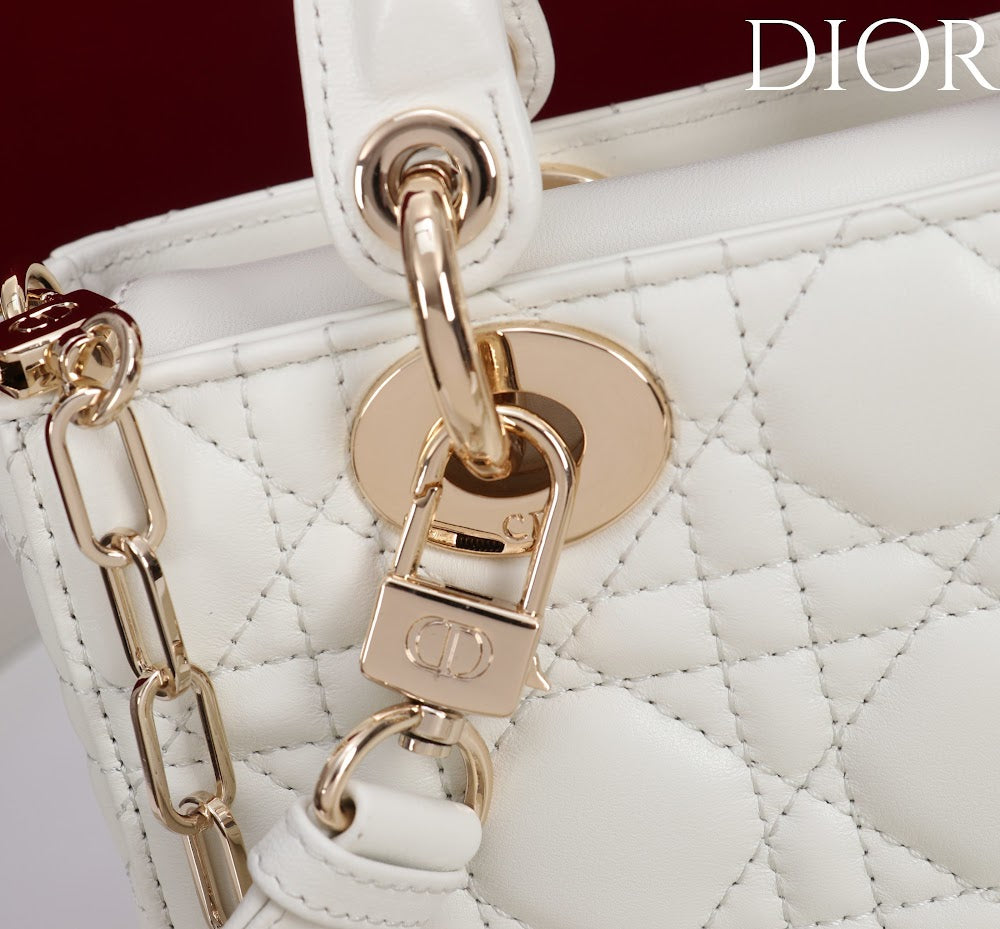 Ezyycart Bags Diorn Luxury Bag --115418