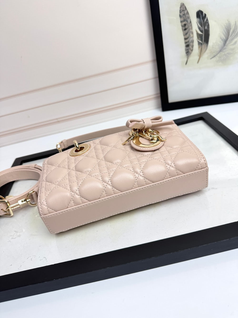 Anum Bags Diorn Luxury Bag --114954