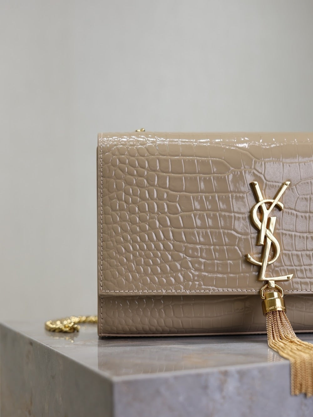 Ezyycart Bags YSLn Luxury Bag --119160