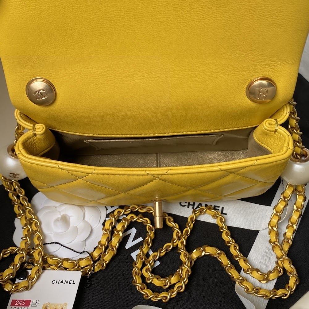 new-designer-premium-bags-nm10316