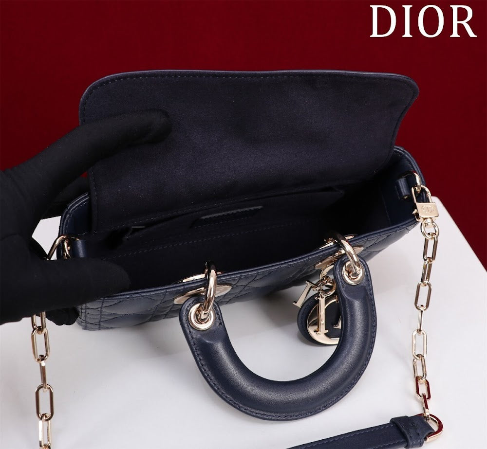 Anum Bags Diorn Luxury Bag --114763