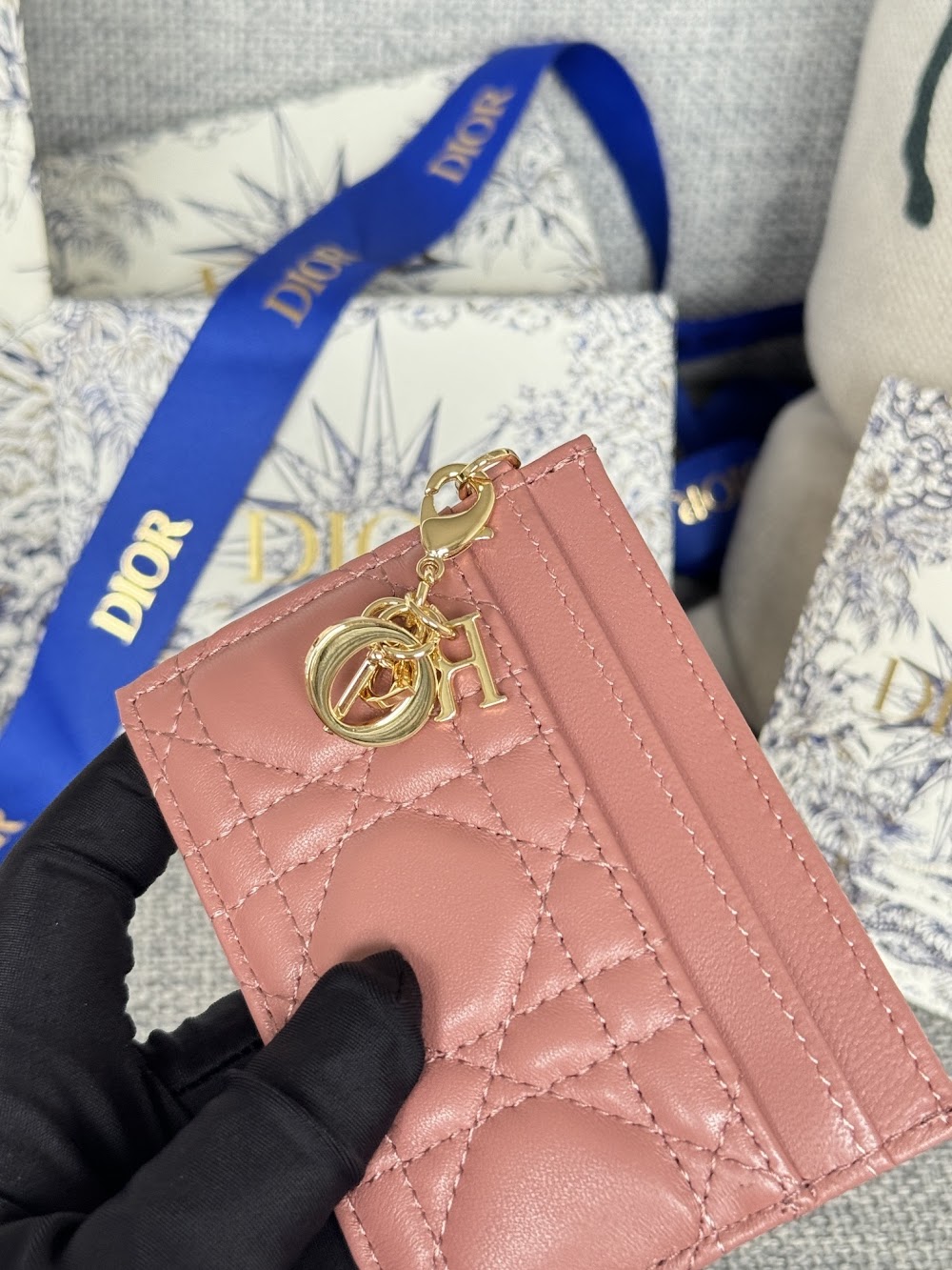Anum Bags Diorn Luxury Bag --114687