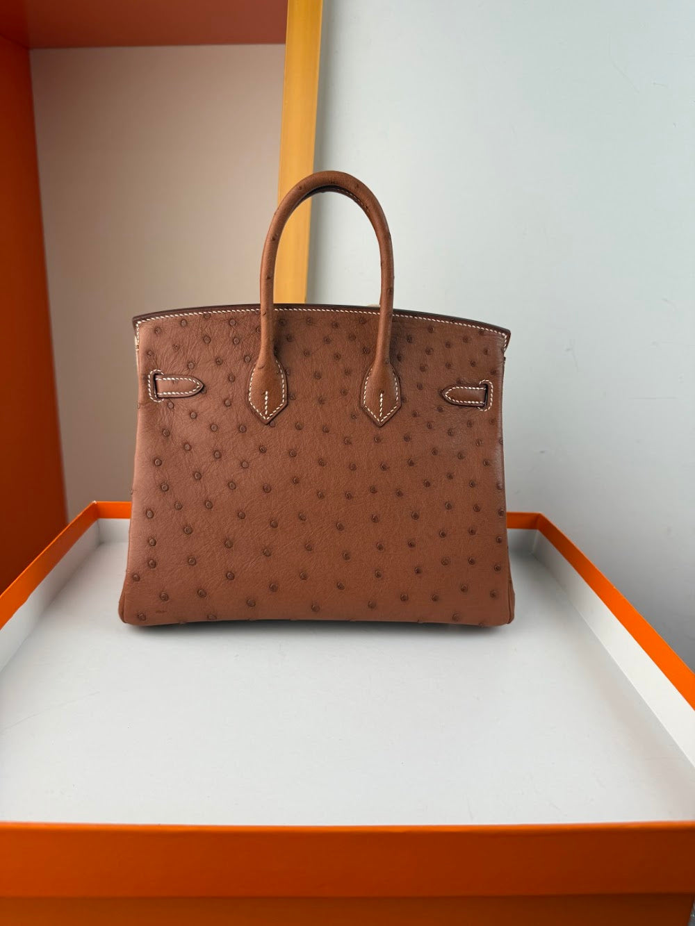 Anum Bags Hermesn Luxury Bag --116770