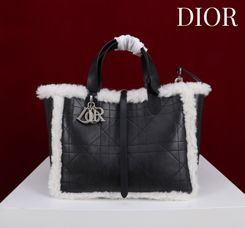 Anum Bags Diorn Luxury Bag --114889