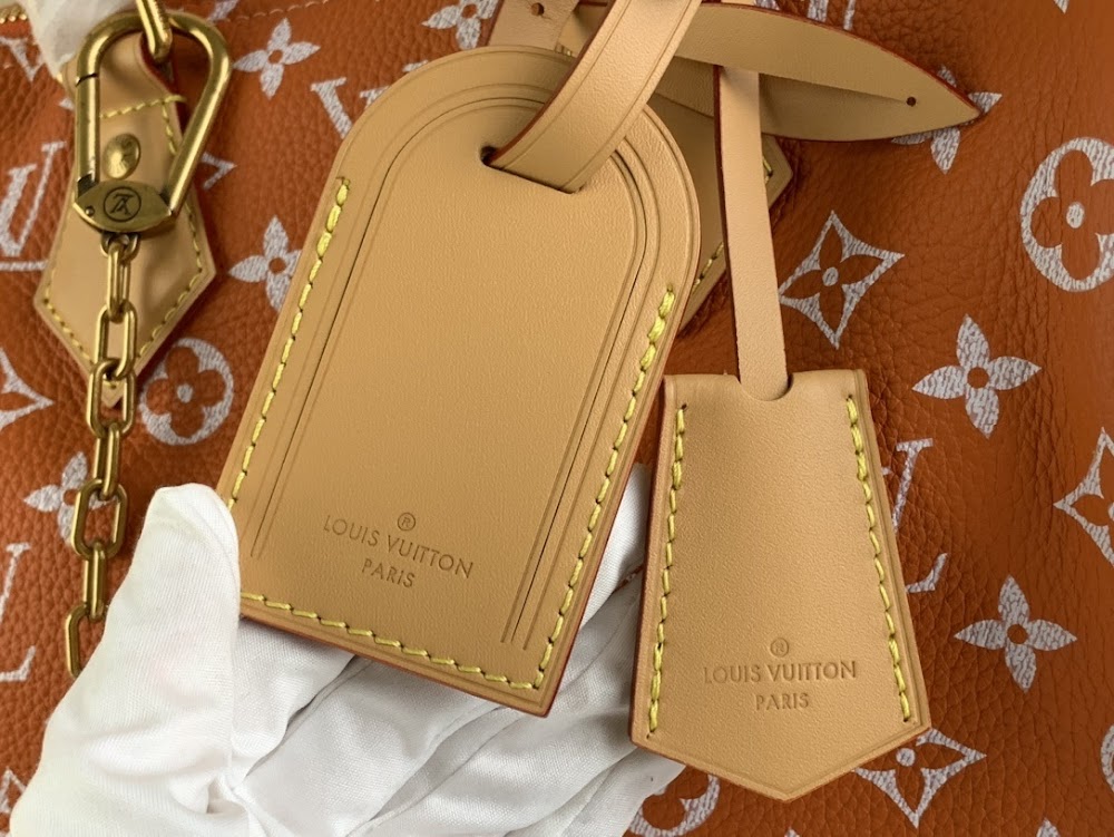 Ezyycart Bags LV Luxury Bag --55906