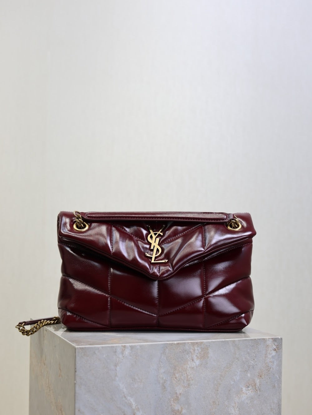 Ezyycart Bags YSLn Luxury Bag --119719