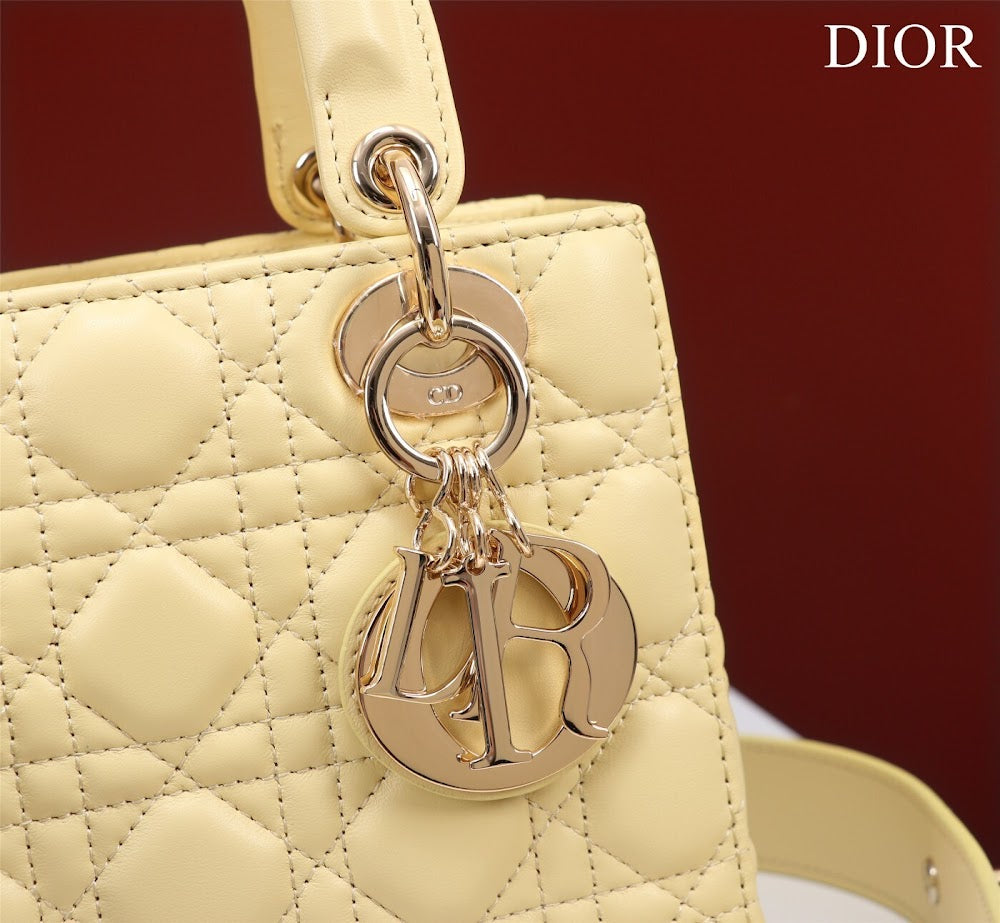 Ezyycart Bags Diorn Luxury Bag --115931