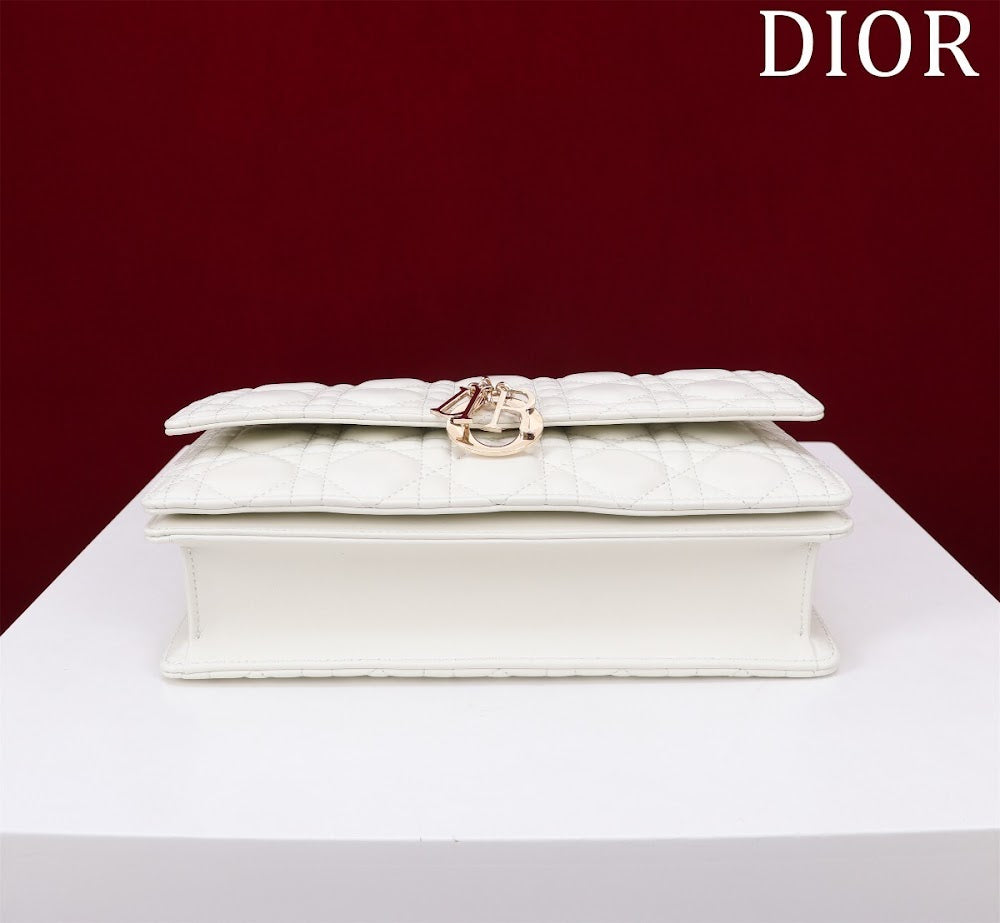 Ezyycart Bags Diorn Luxury Bag --116288