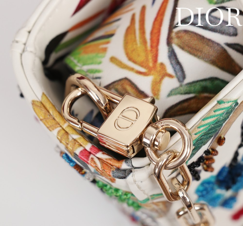 Anum Bags Diorn Luxury Bag --114708