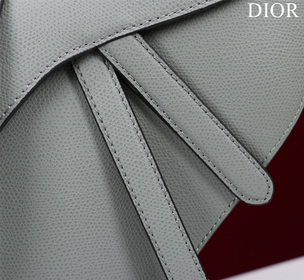 Ezyycart Bags Diorn Luxury Bag --116522
