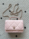 Anum Bags CHn Luxury Bag --112707