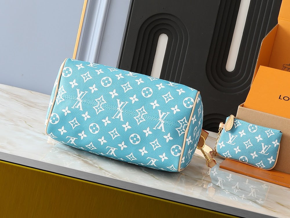 Anum Bags LVn Luxury Bag --79626
