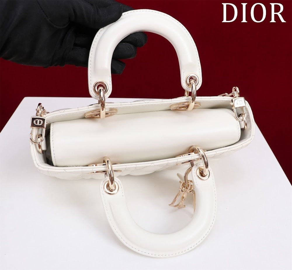 Anum Bags Diorn Luxury Bag --114770