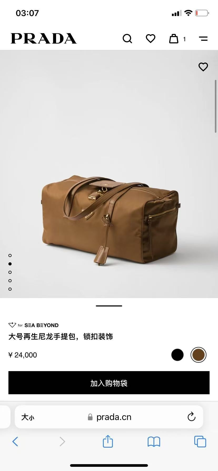 Ezyycart Bags Pradn Luxury Bag --101916