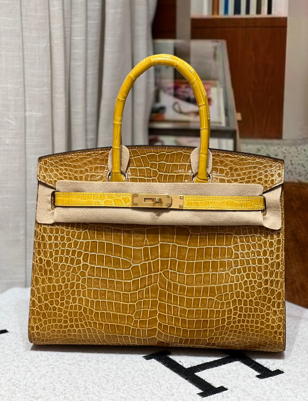 Anum Bags Hermesn Luxury Bag --117228