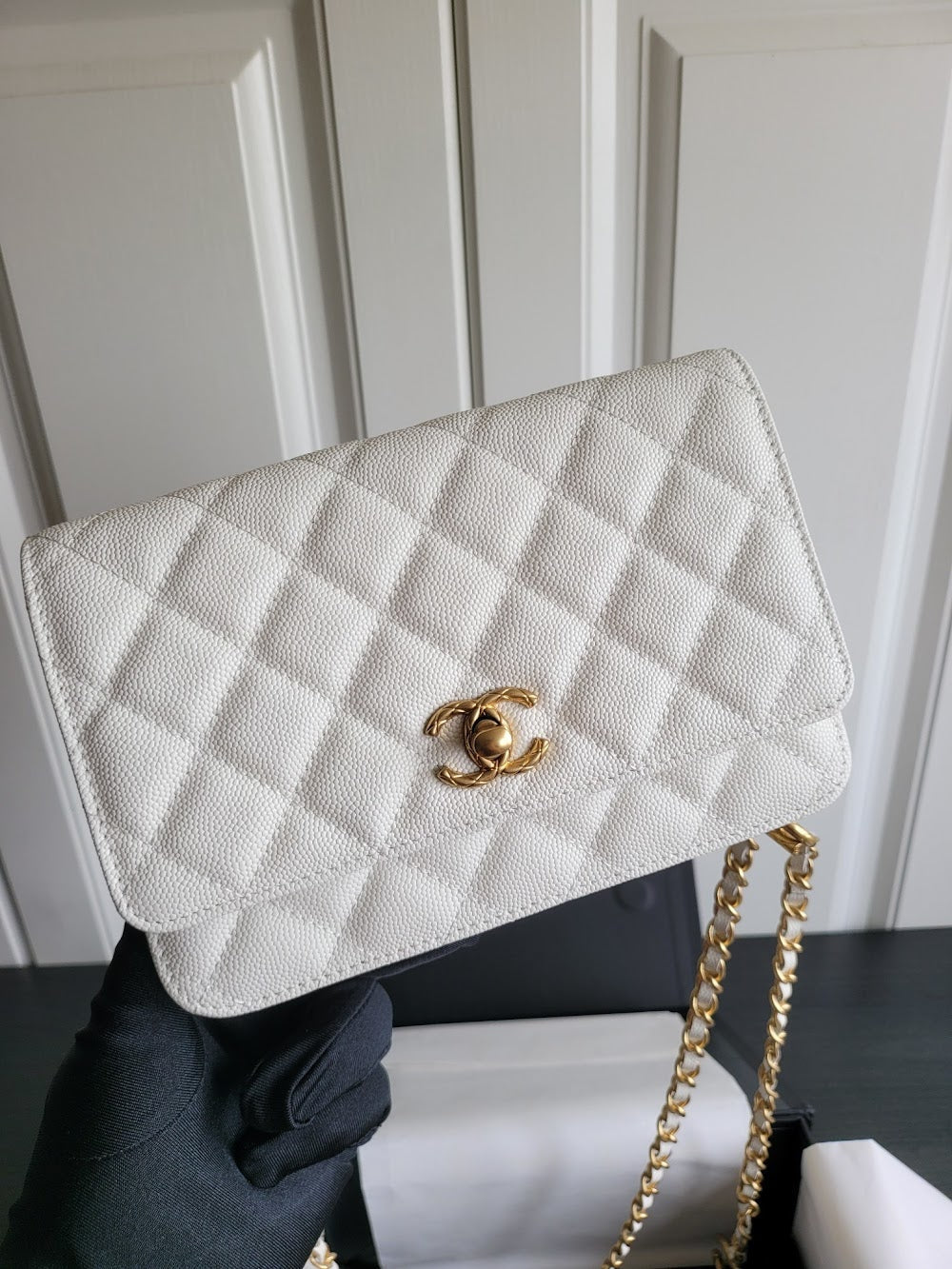 new-luxury-designer-bags-nm10016