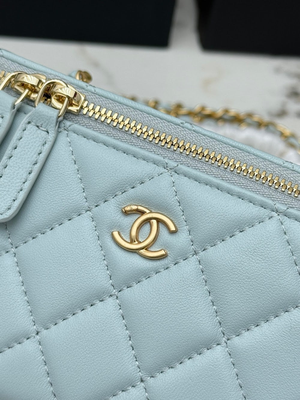 Anum Bags CHn Luxury Bag --113870