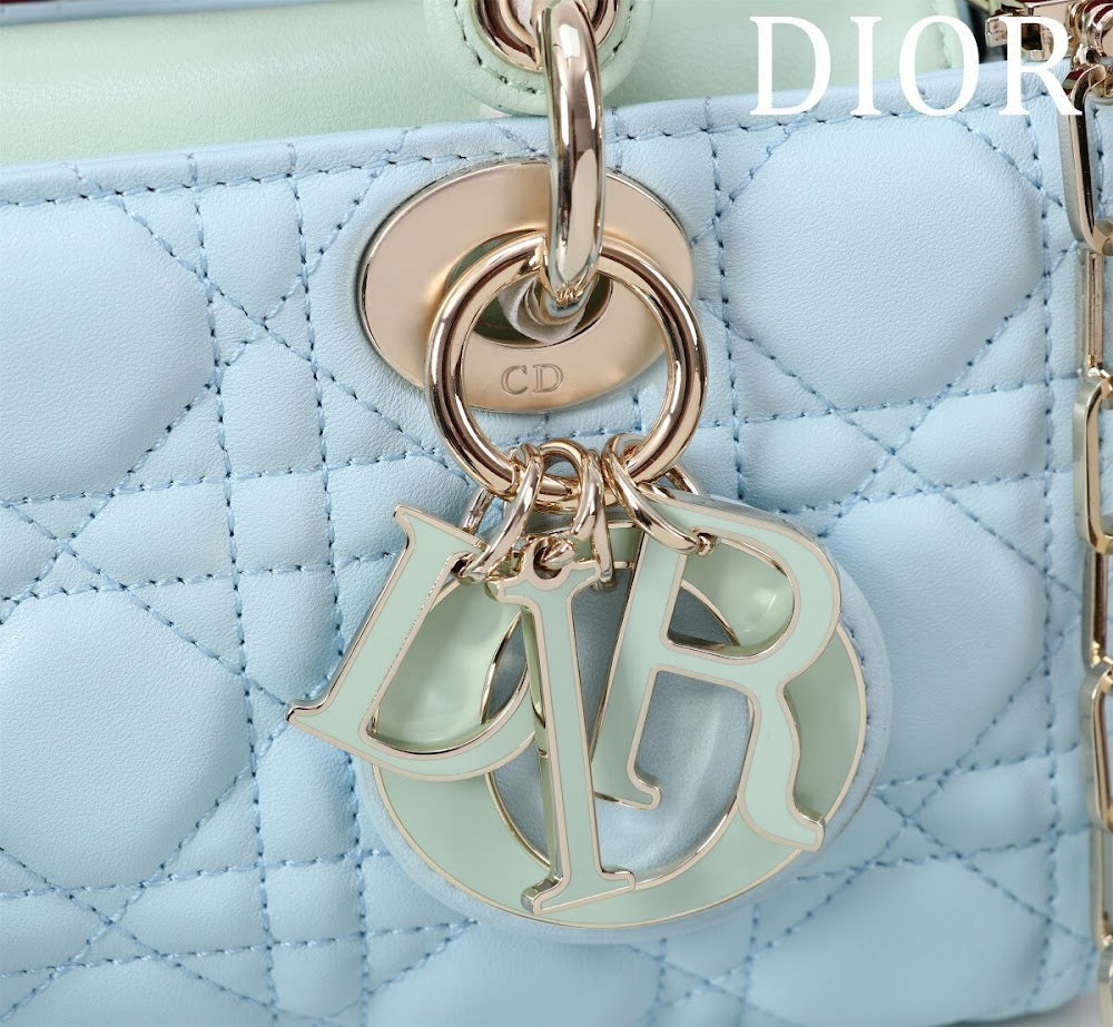 Anum Bags Diorn Luxury Bag --114850