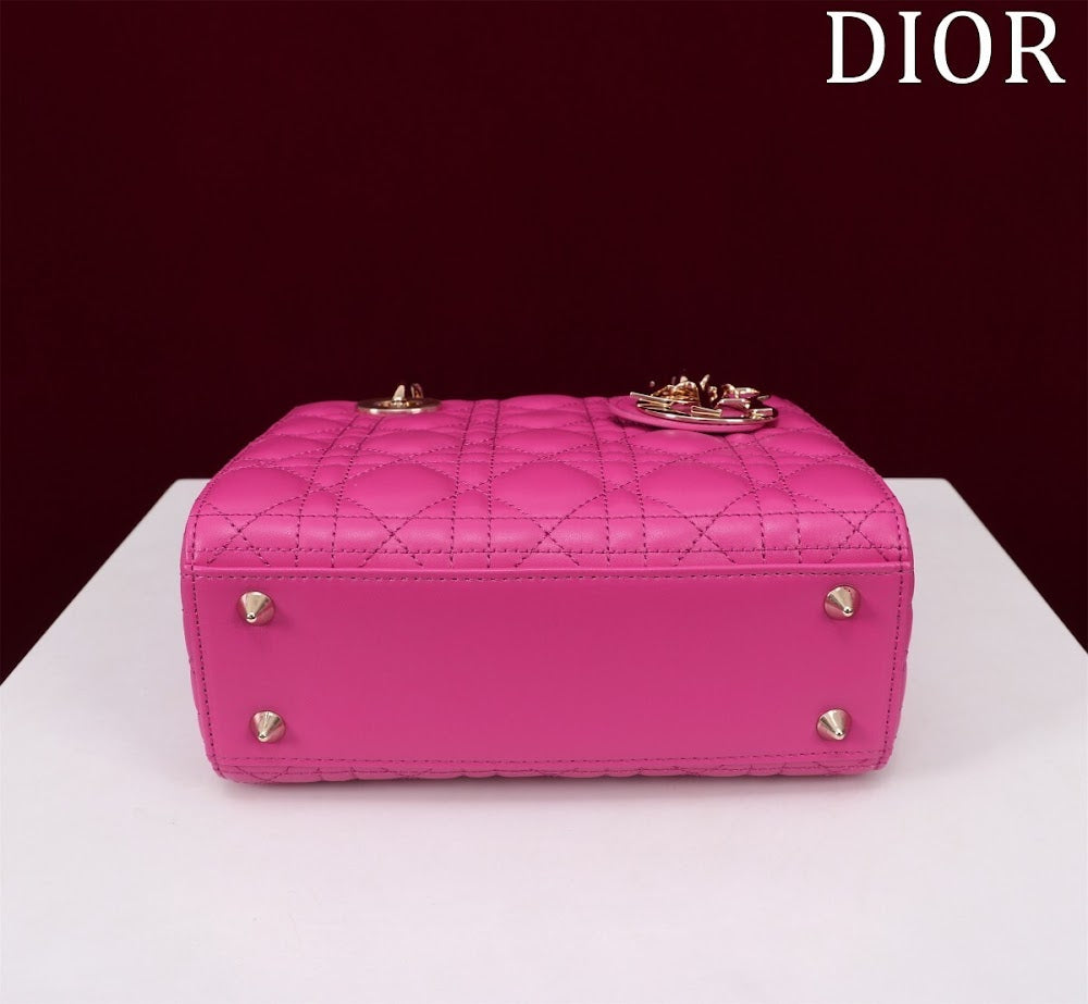 Ezyycart Bags Diorn Luxury Bag --115913