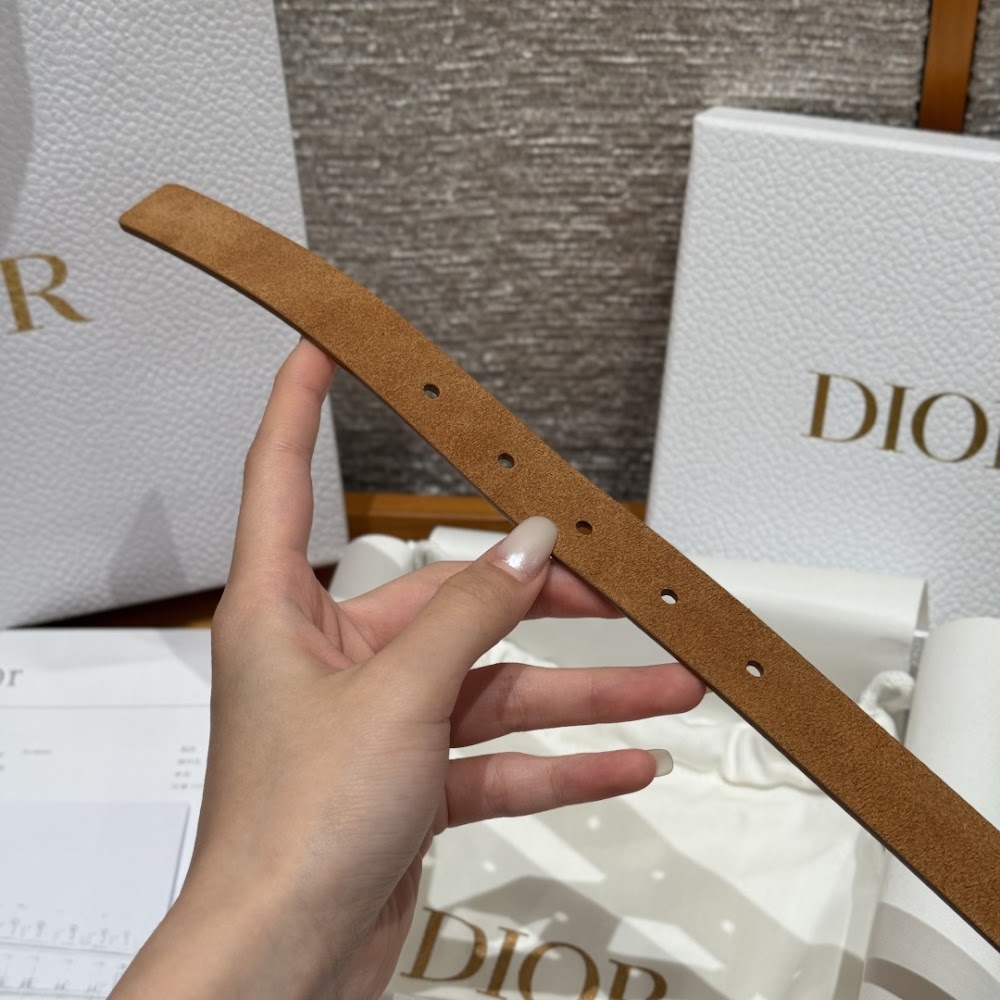Anum Bags Diorn Luxury Belt --107829