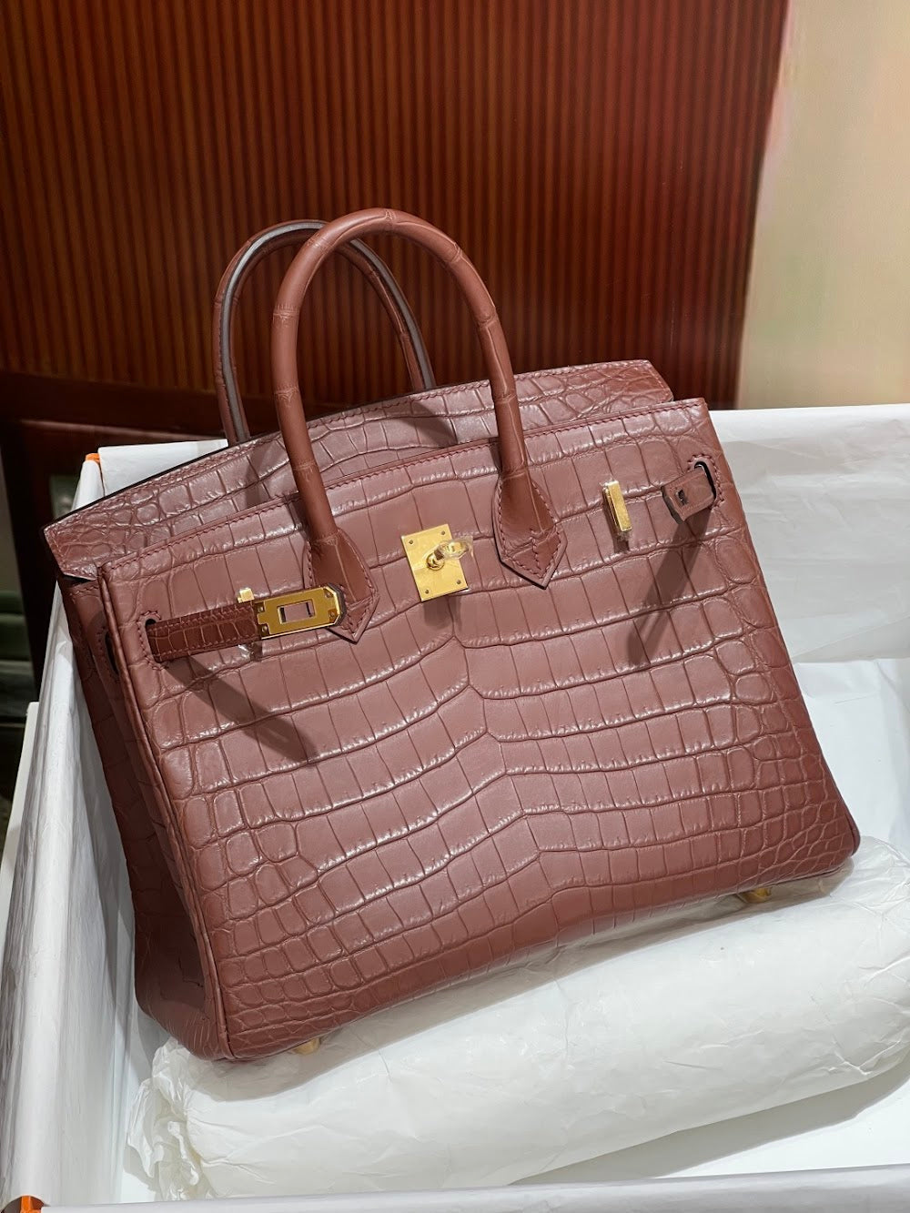 Anum Bags Hermesn Luxury Bag --117396