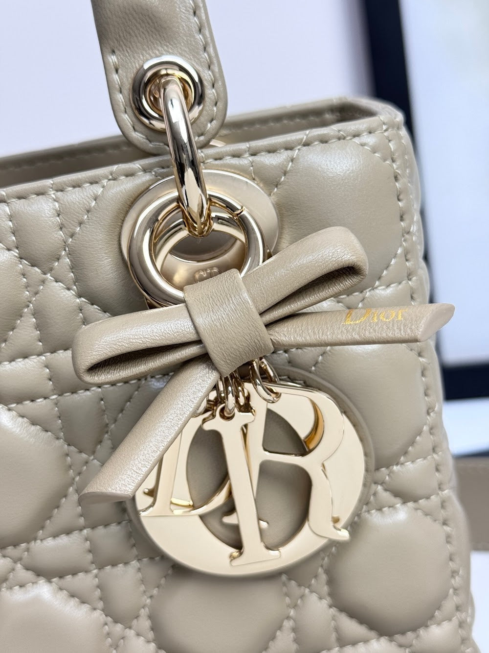 Anum Bags Diorn Luxury Bag --114946