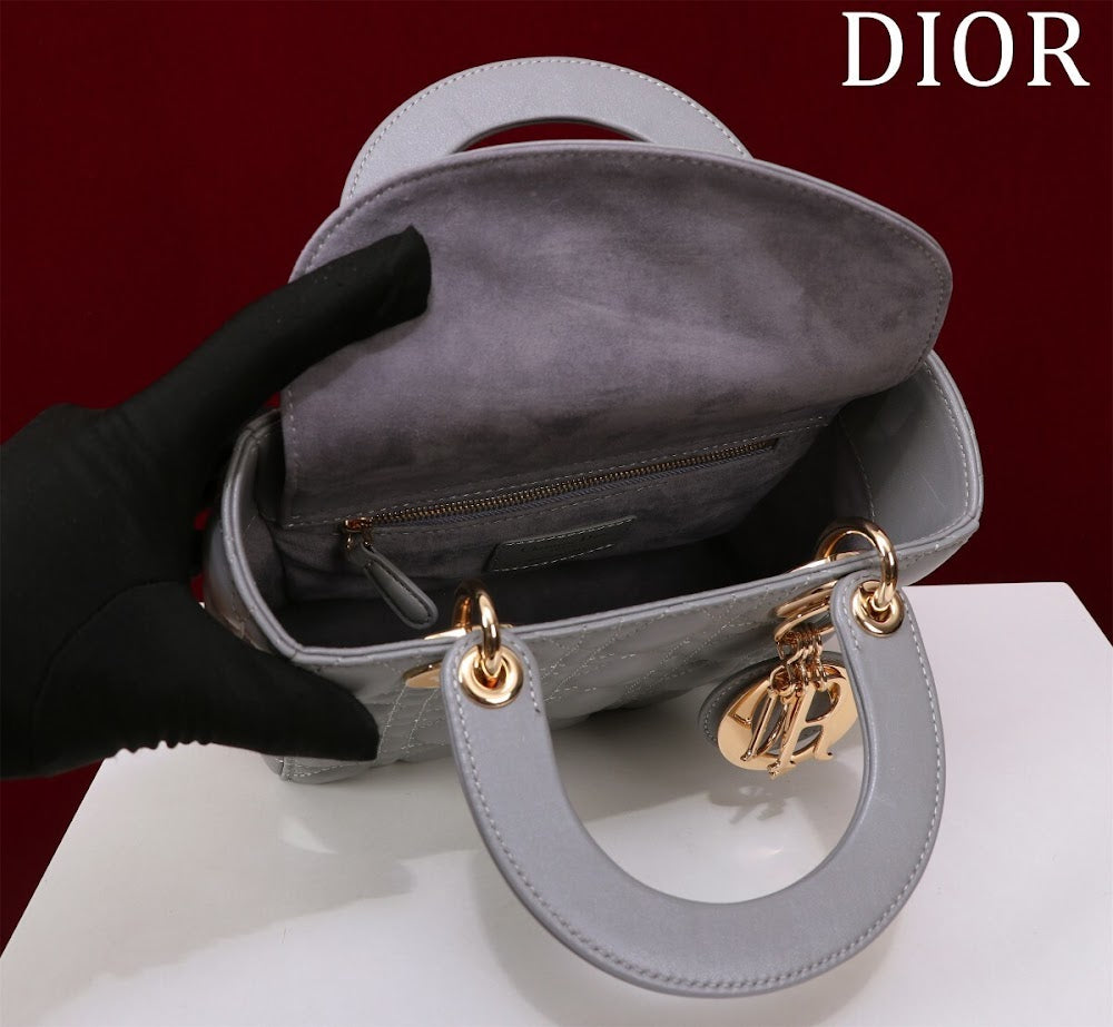 Ezyycart Bags Diorn Luxury Bag --115911
