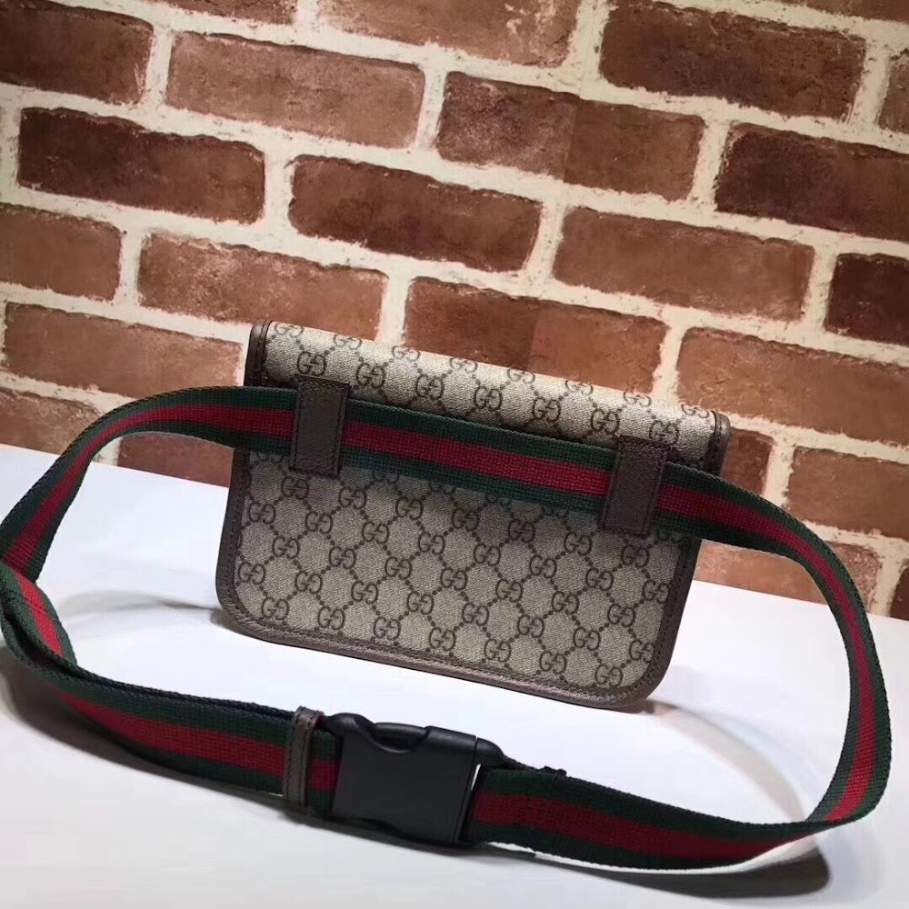 new-elite-designer-bags-nm17679