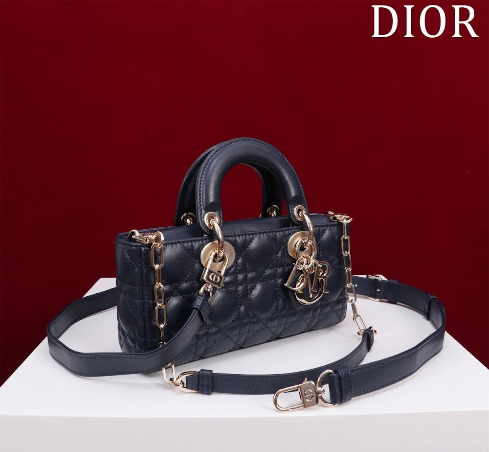 Anum Bags Diorn Luxury Bag --114757