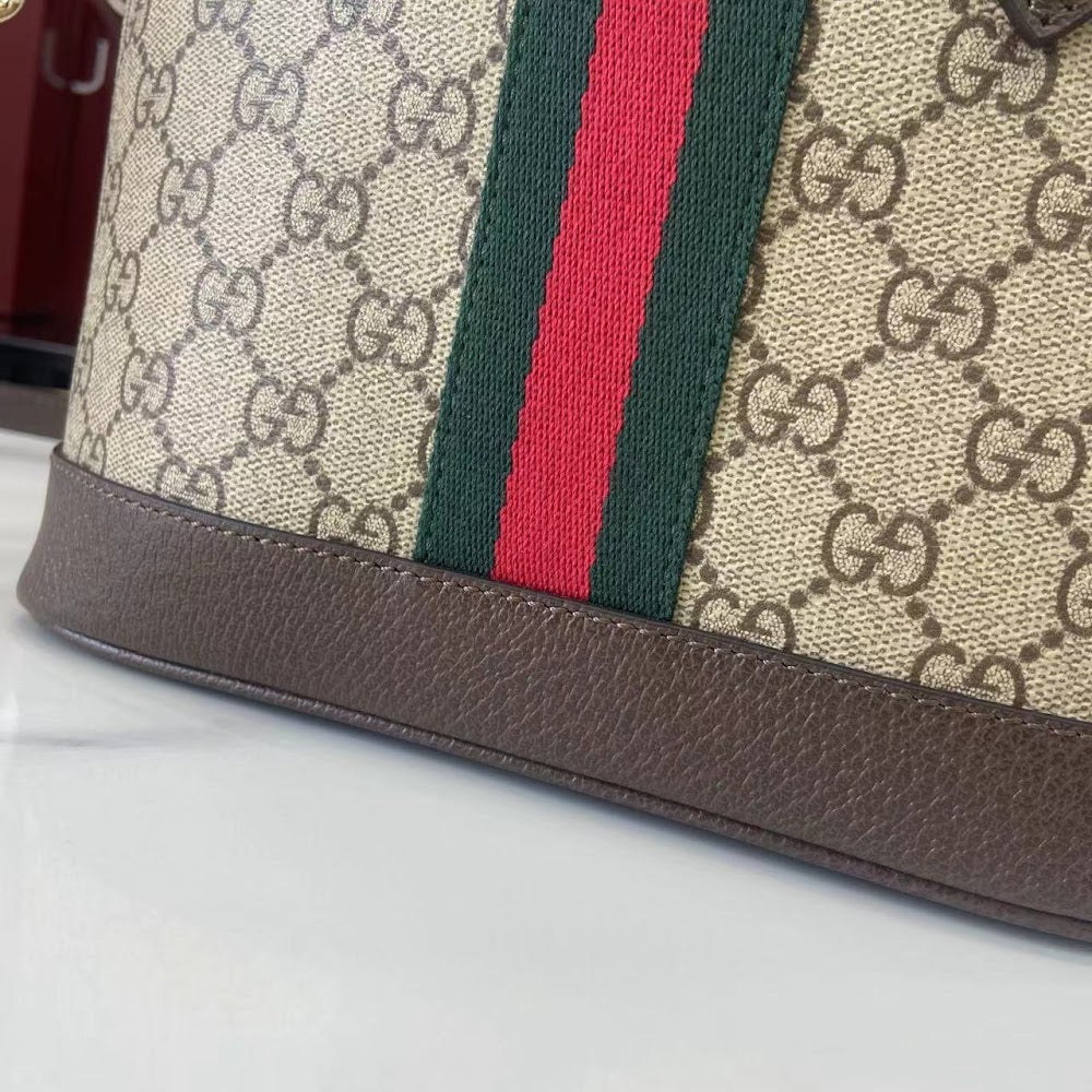Ezyycart Bags Guccin Luxury Bag --94623