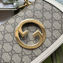 new-designer-premium-bags-nm8450