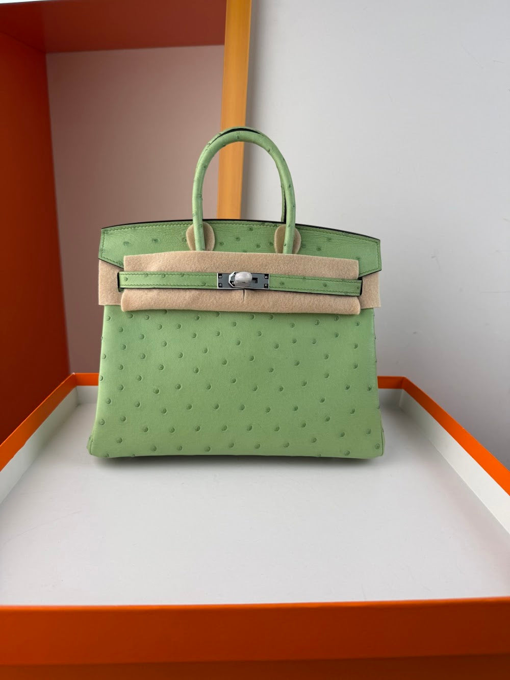 Anum Bags Hermesn Luxury Bag --116758