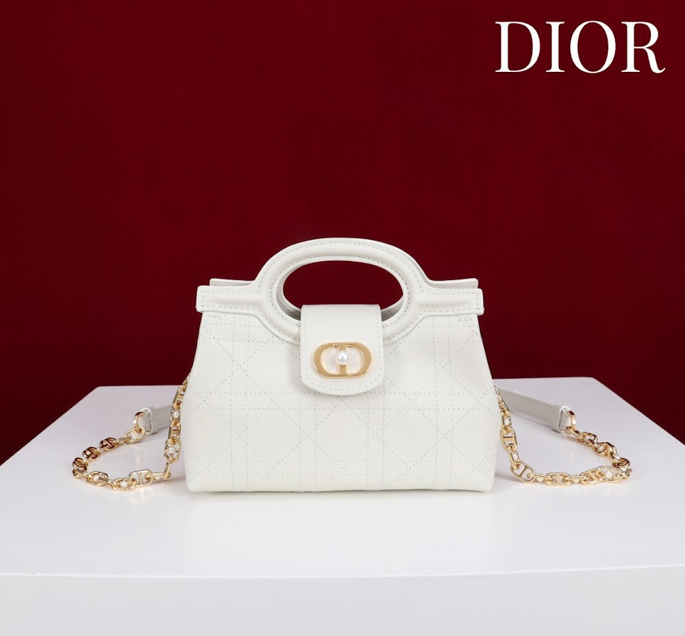 Anum Bags Diorn Luxury Bag --114555
