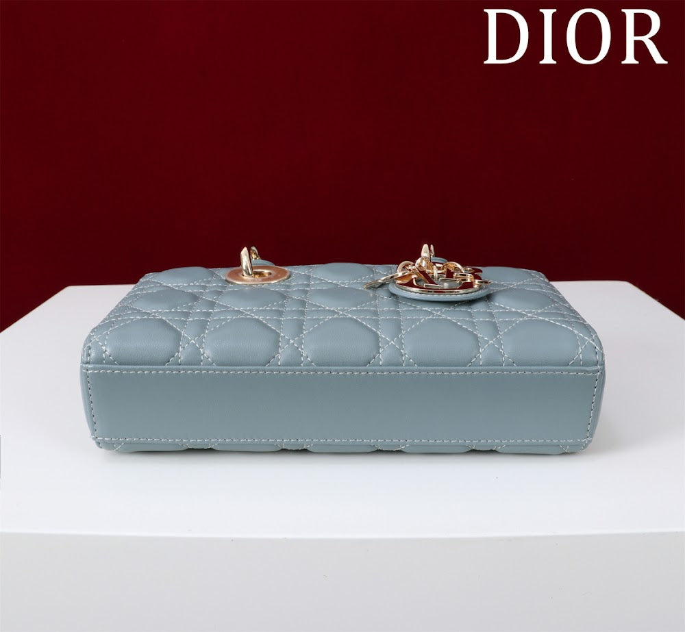 Anum Bags Diorn Luxury Bag --114725