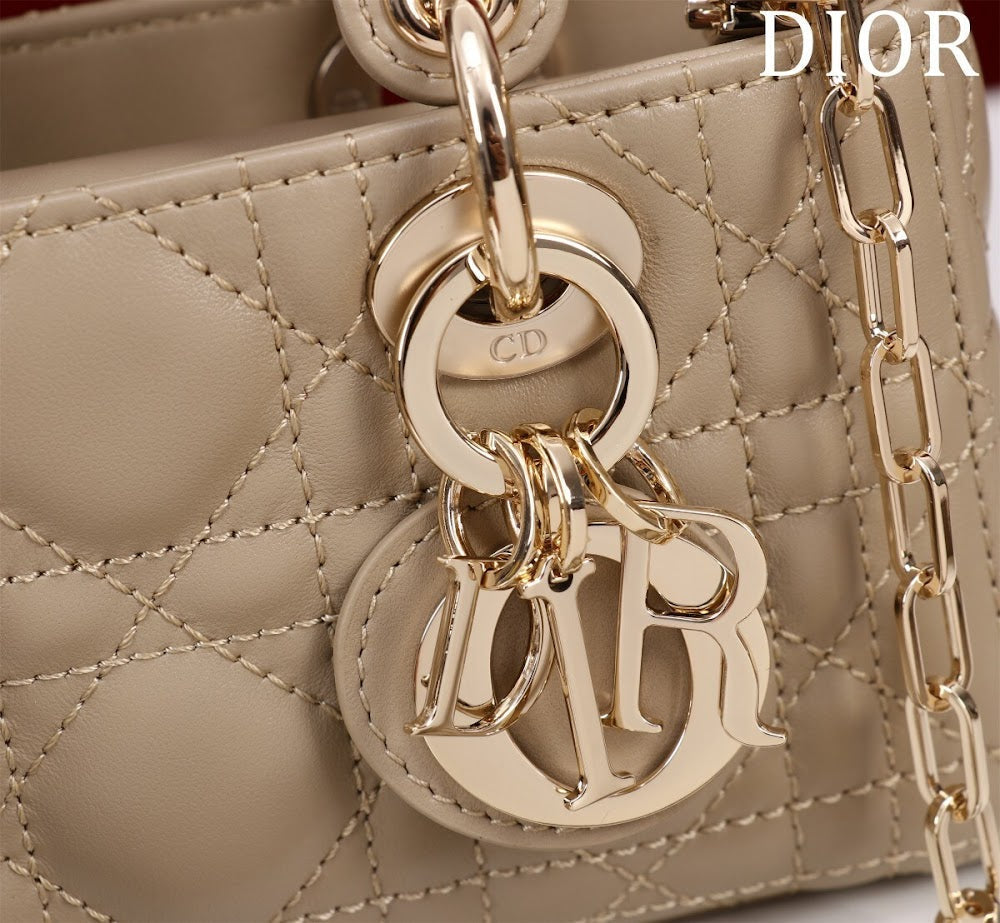 Ezyycart Bags Diorn Luxury Bag --116447