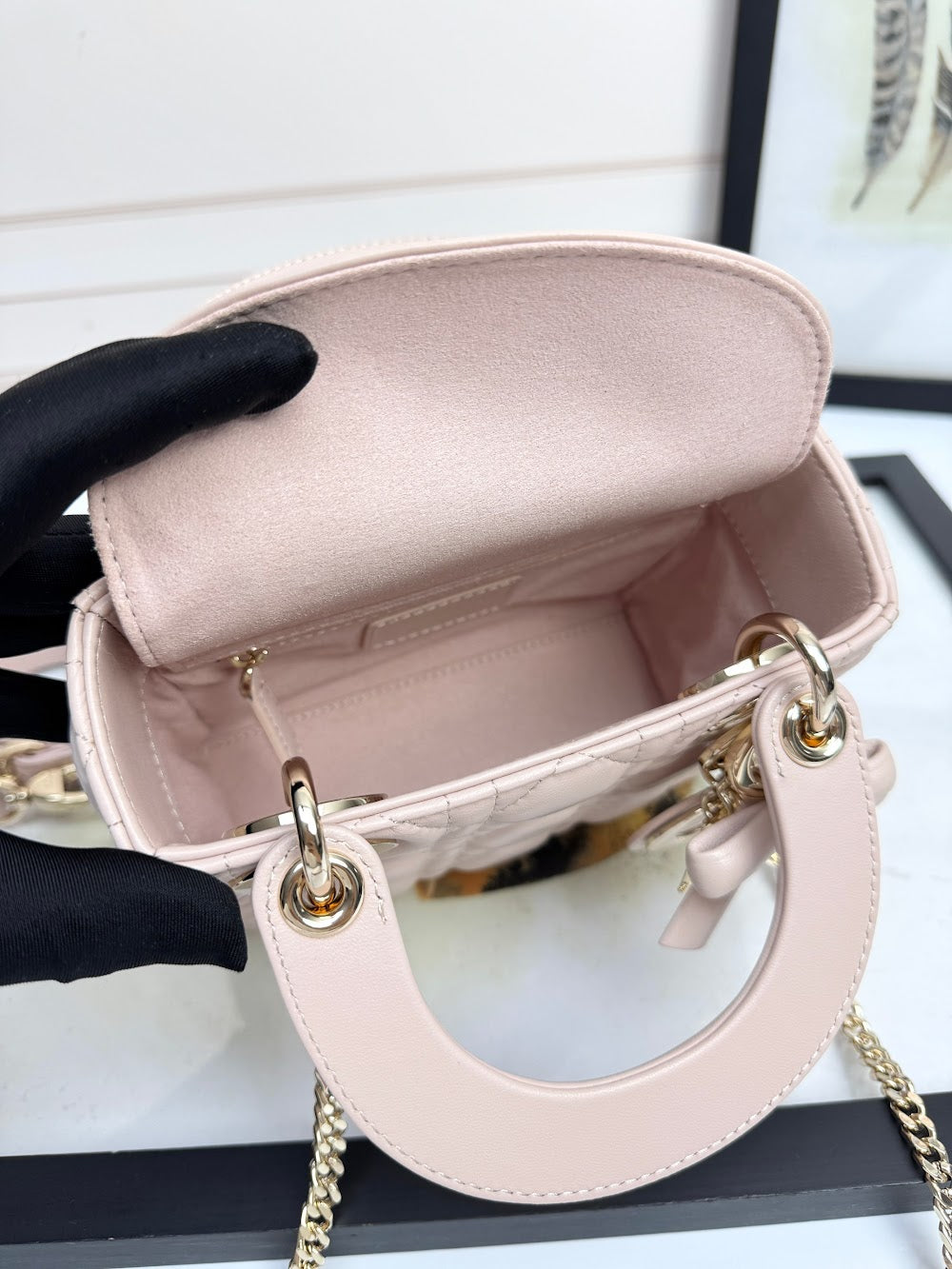 Anum Bags Diorn Luxury Bag --114953