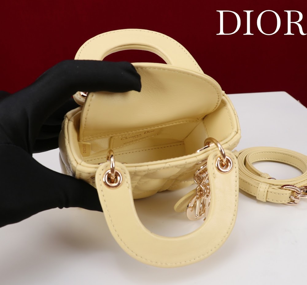 Ezyycart Bags Diorn Luxury Bag --116421