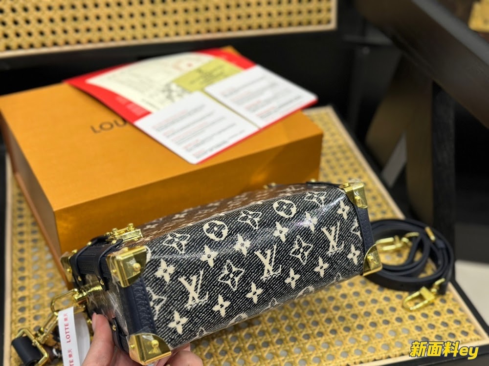Anum Bags LVn Luxury Bag --79614