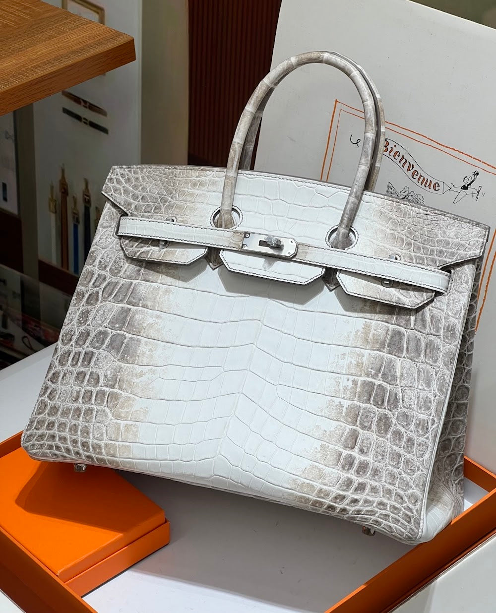Anum Bags Hermesn Luxury Bag --116725