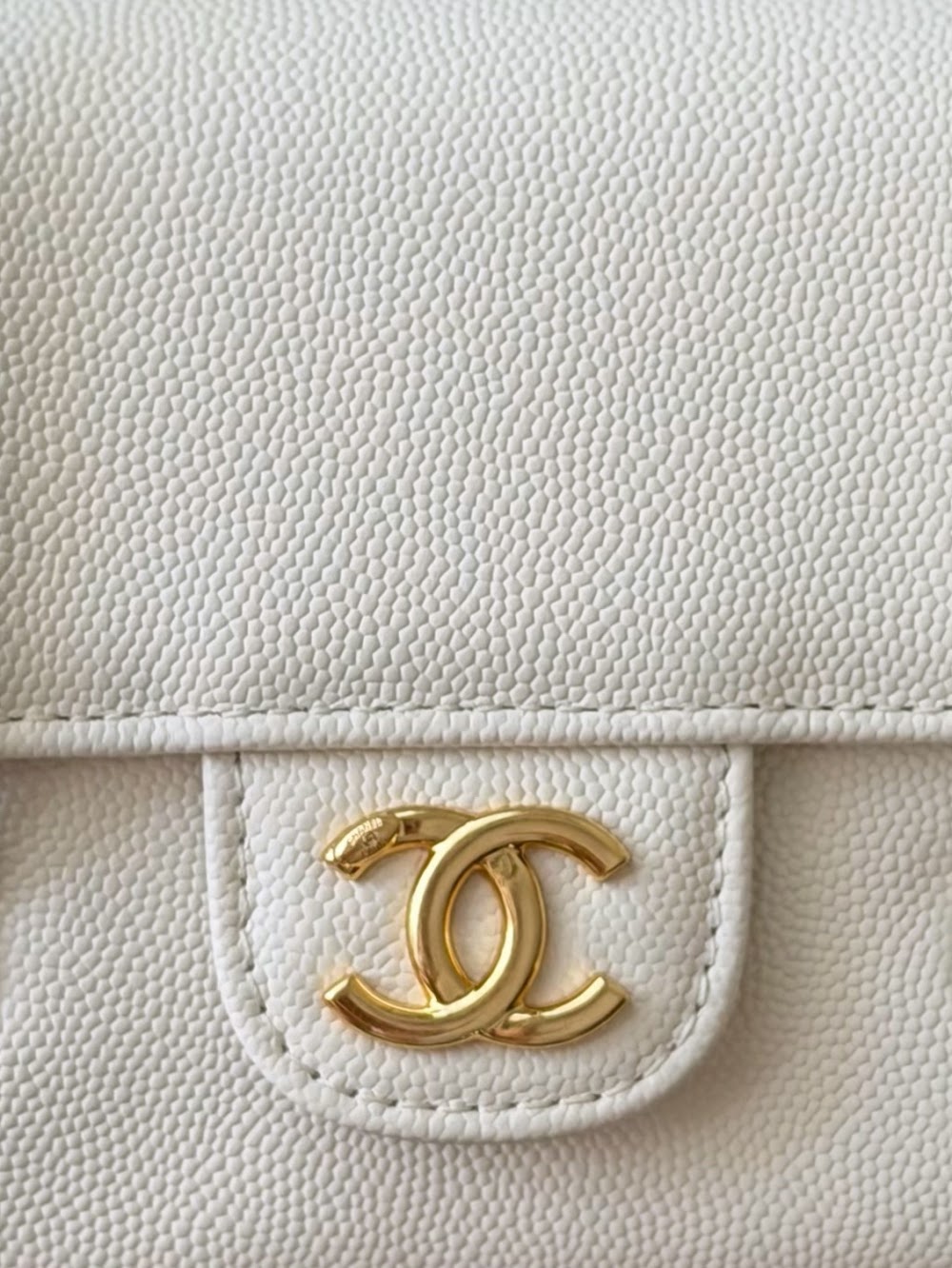 Anum Bags CHn Luxury Bag --114045