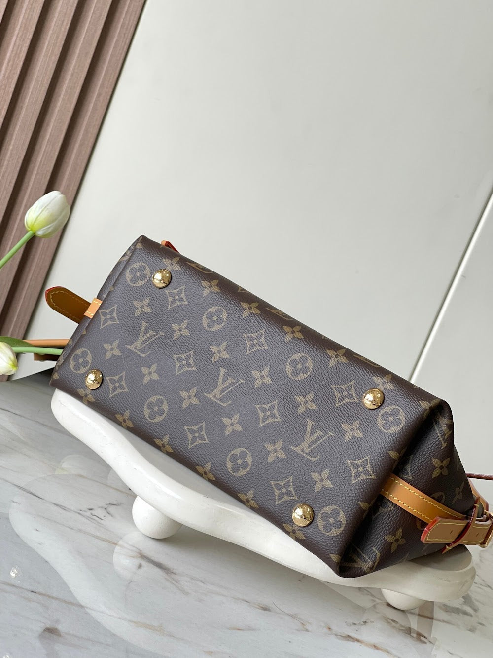 Anum Bags LVn Luxury Bag --79183