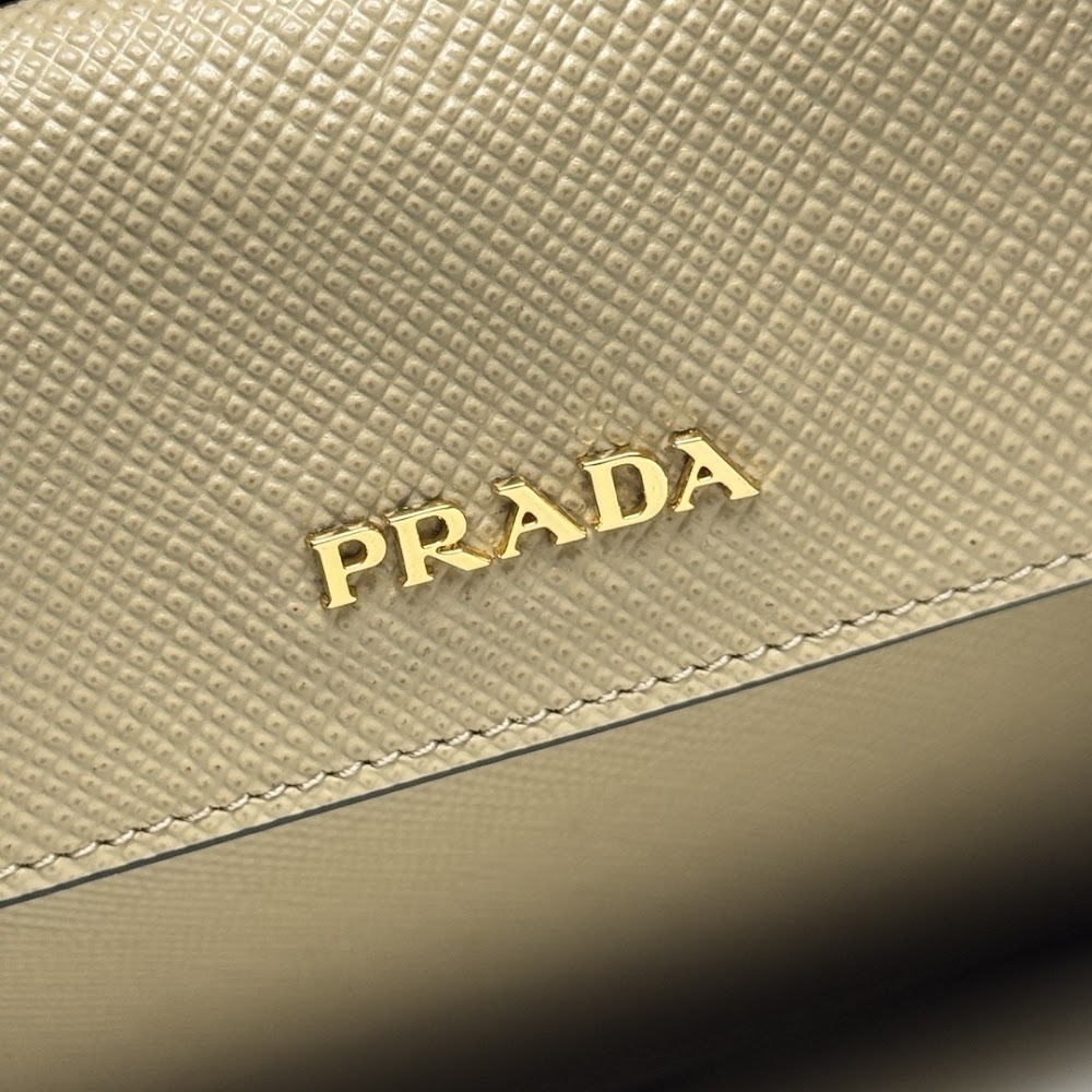 Ezyycart Bags Pradn Luxury Bag --102312