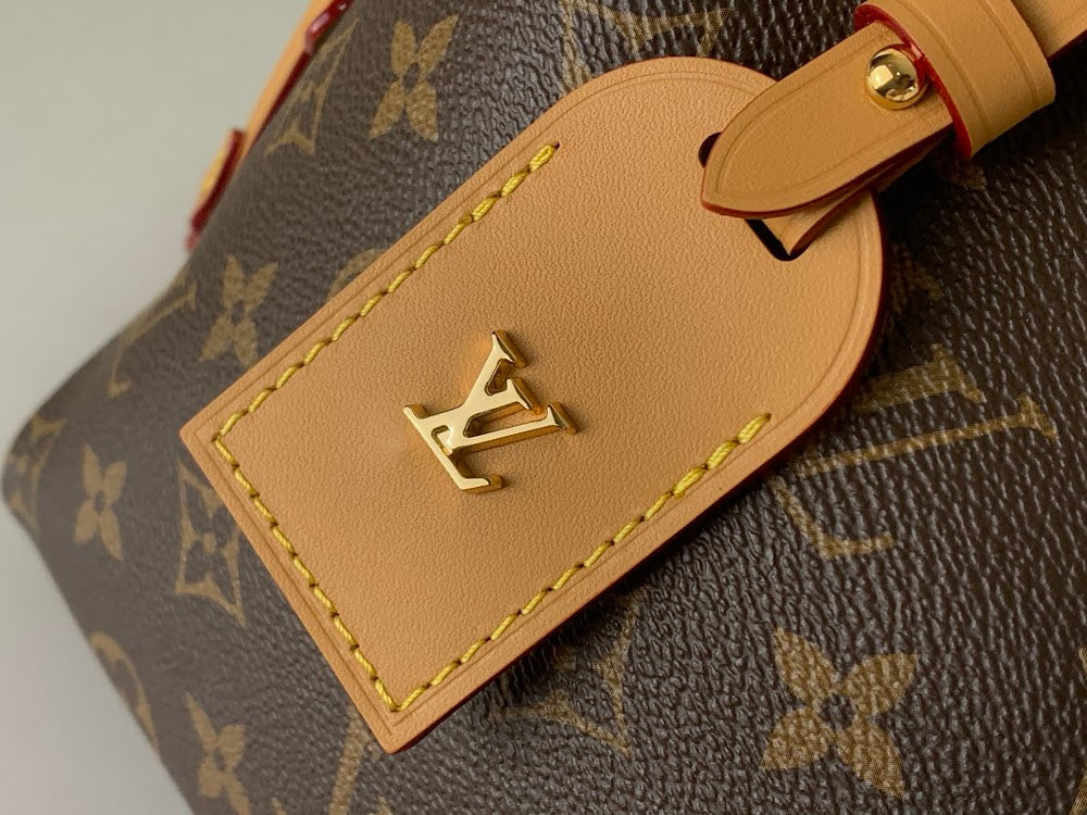 Anum Bags LV Luxury Bag --55713