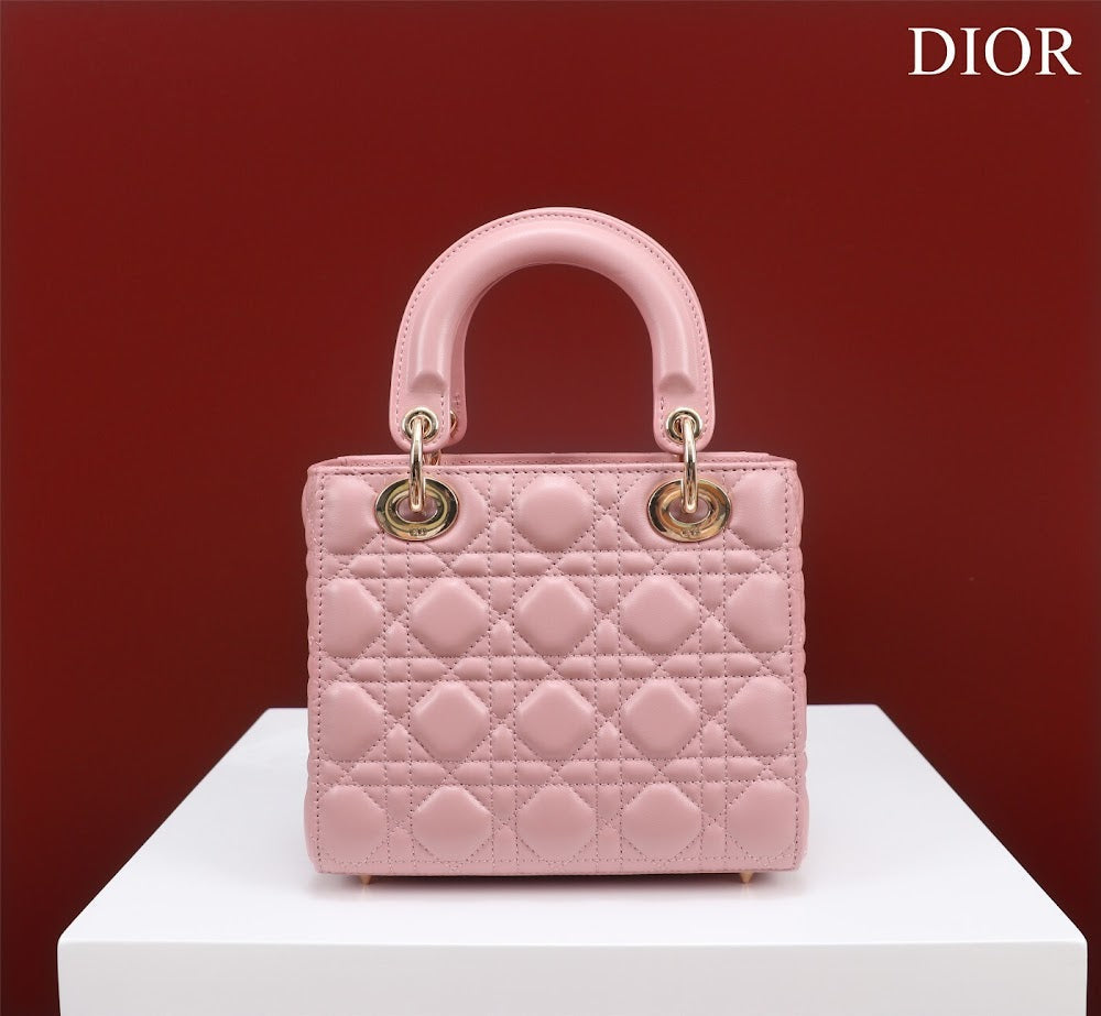 Ezyycart Bags Diorn Luxury Bag --115915