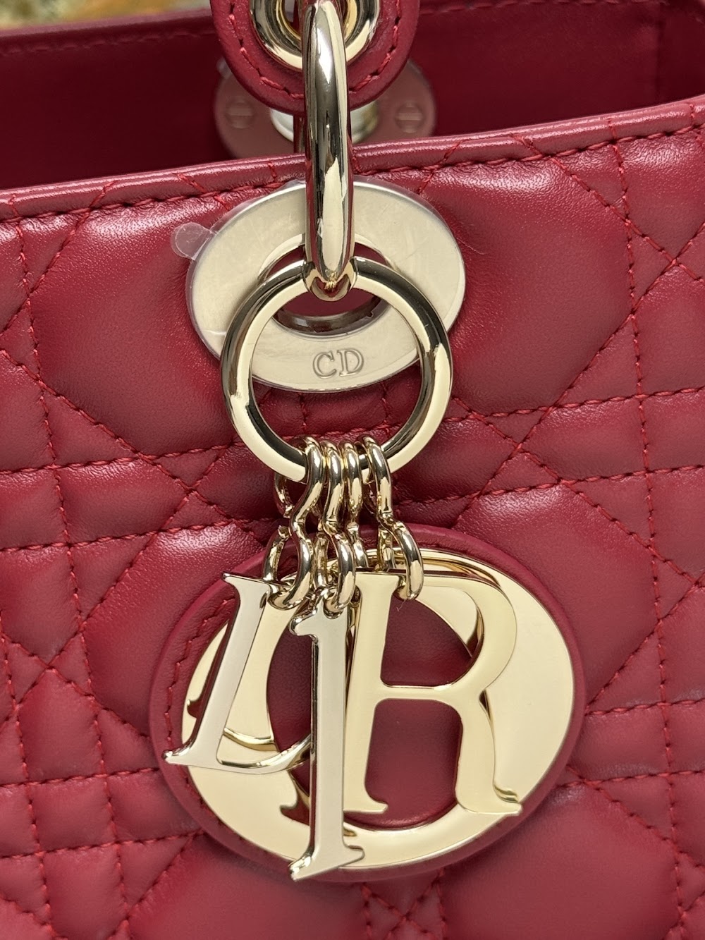 Ezyycart Bags Diorn Luxury Bag --116015