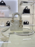Ezyycart Bags Diorn Luxury Bag --115433