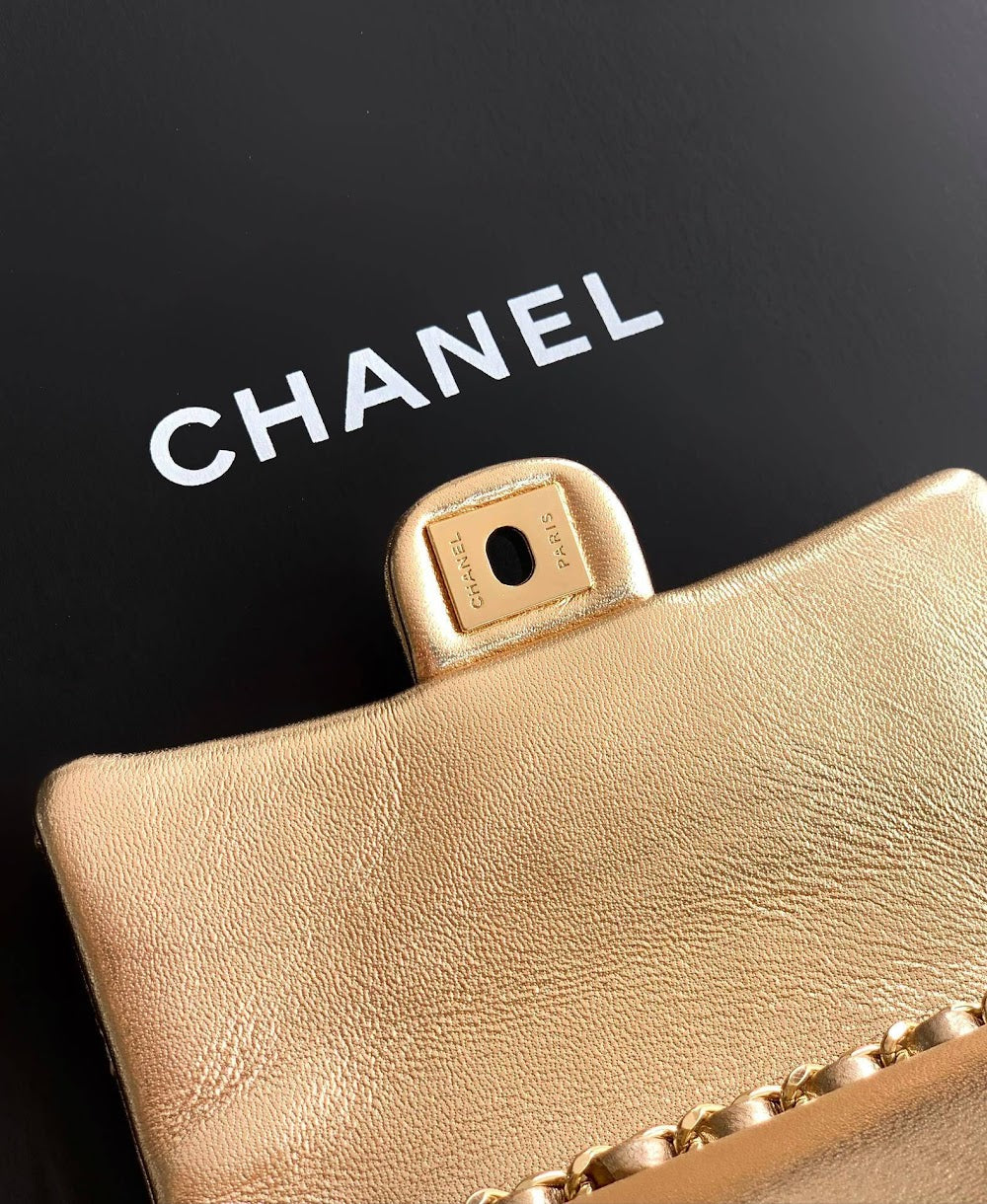 Anum Bags CHn Luxury Bag --112667