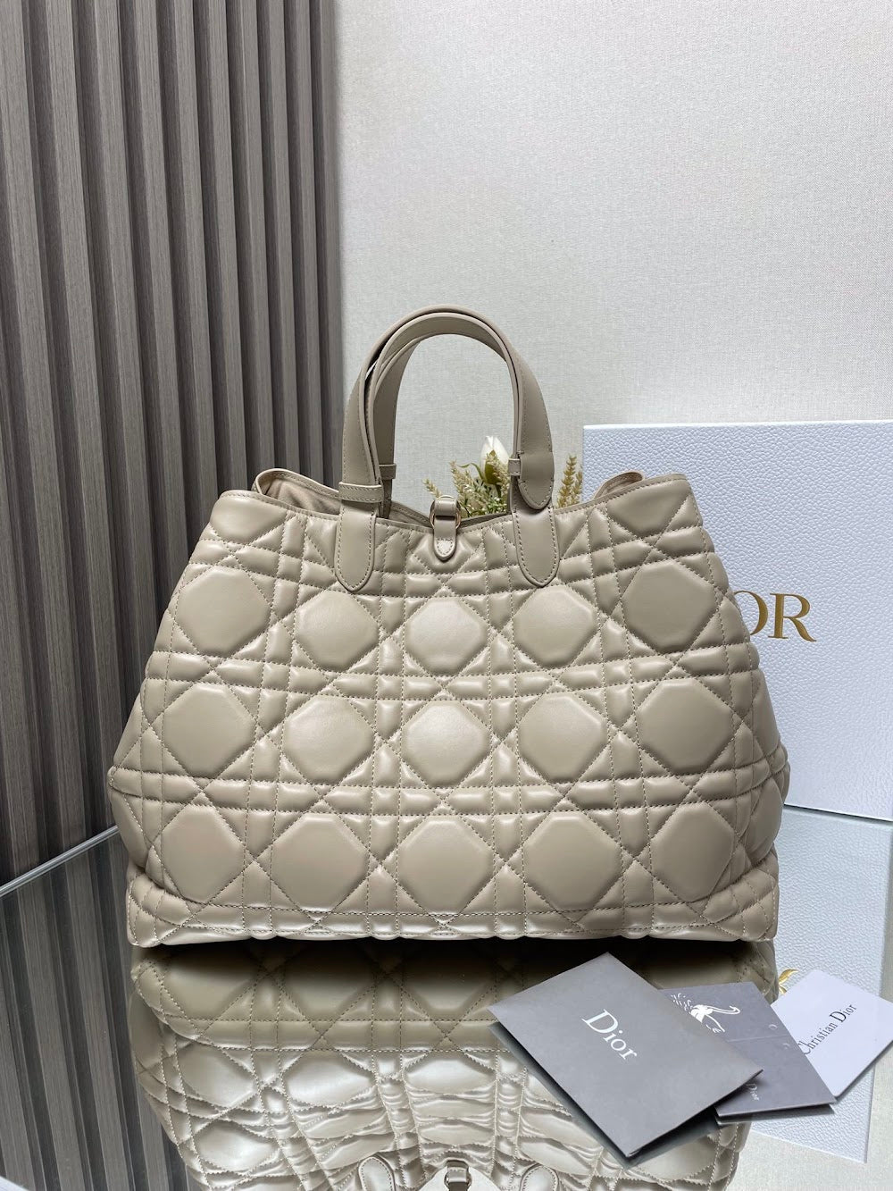 Ezyycart Bags Diorn Luxury Bag --116411