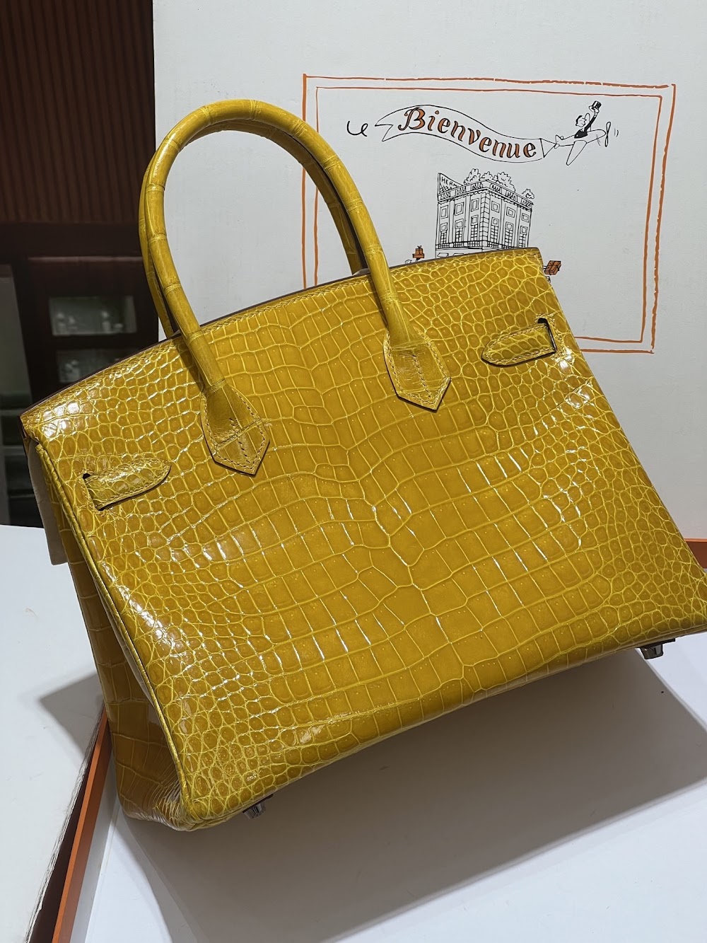 Anum Bags Hermesn Luxury Bag --117173