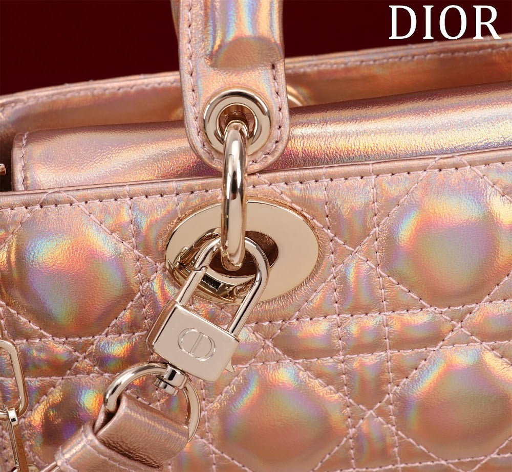Anum Bags Diorn Luxury Bag --114737